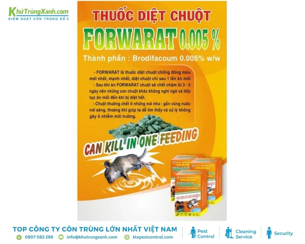 Với cơ chế đông máu mạnh mẽ, FORWARAT giúp tiêu diệt chuột nhanh chóng