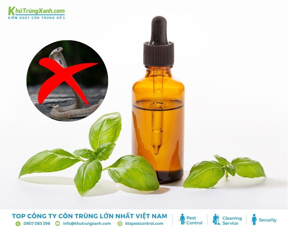 Phương pháp xua đuổi rắn bằng tinh dầu là một cách vừa an toàn lại dễ thực hiện