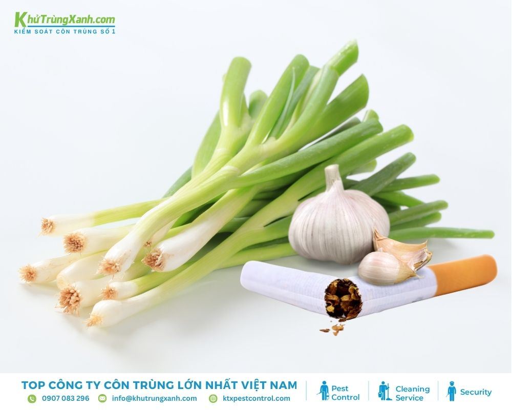 Đổ dung dịch vào bình xịt và phun quanh các khu vực bạn muốn ngăn rắn xâm nhập