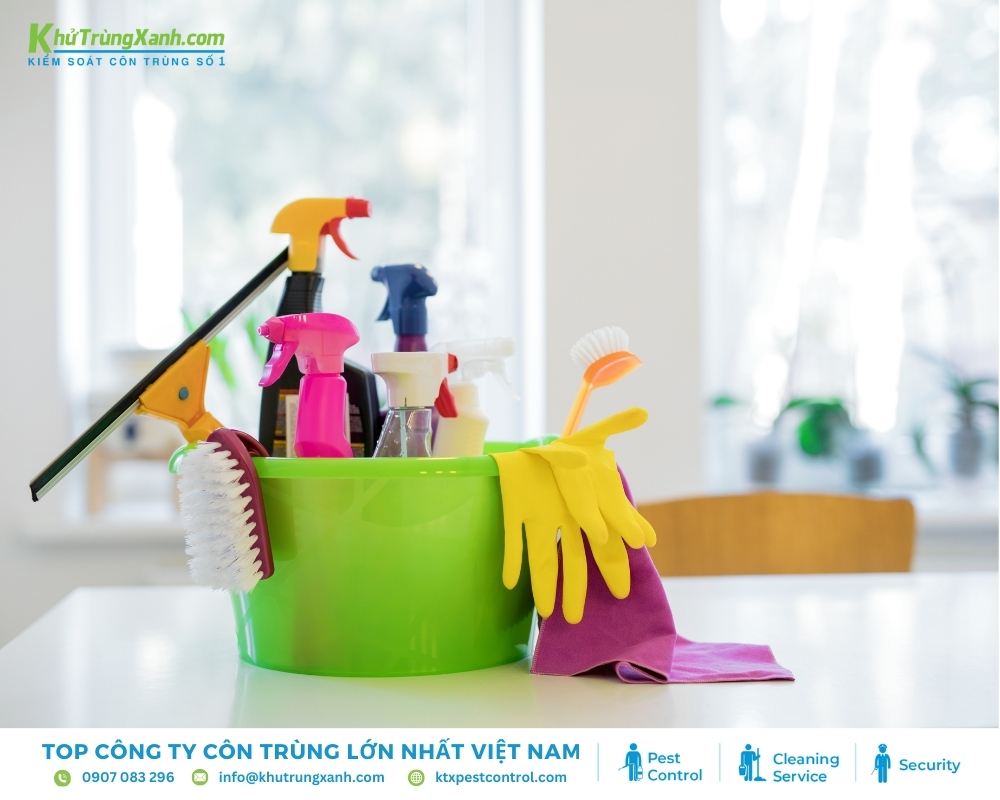 Duy trì dọn vệ sinh nhà cửa để giảm khả năng rắn vào nhà