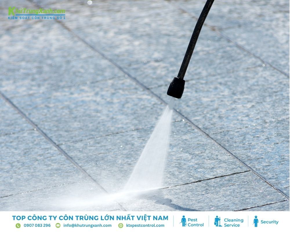 Sử dụng tia nước xịt thẳng về hướng con rắn để tạo áp lực đẩy rắn ra xa