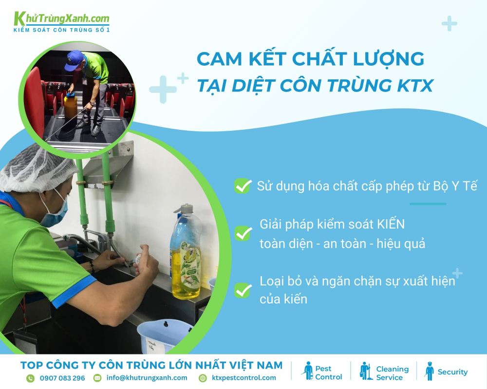 Tại sao chọn chúng tôi