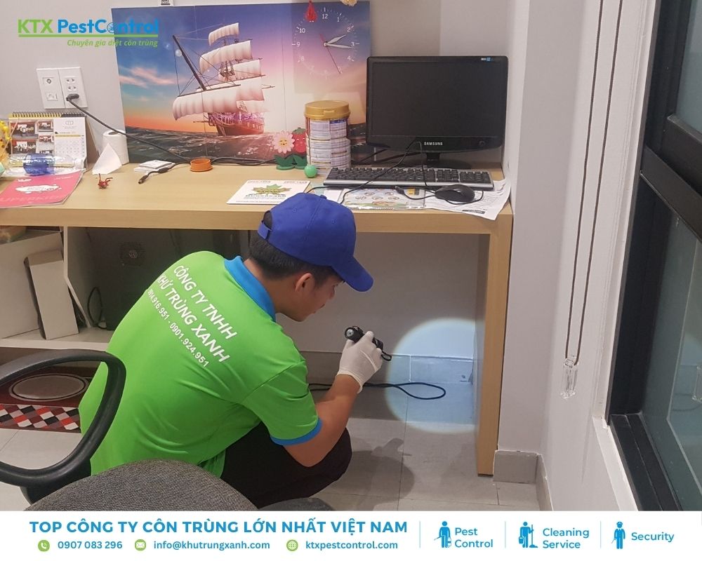 Diệt mối tại quận 10 giúp bảo vệ tài sản, ngăn ngừa thiệt hại và duy trì môi trường an toàn