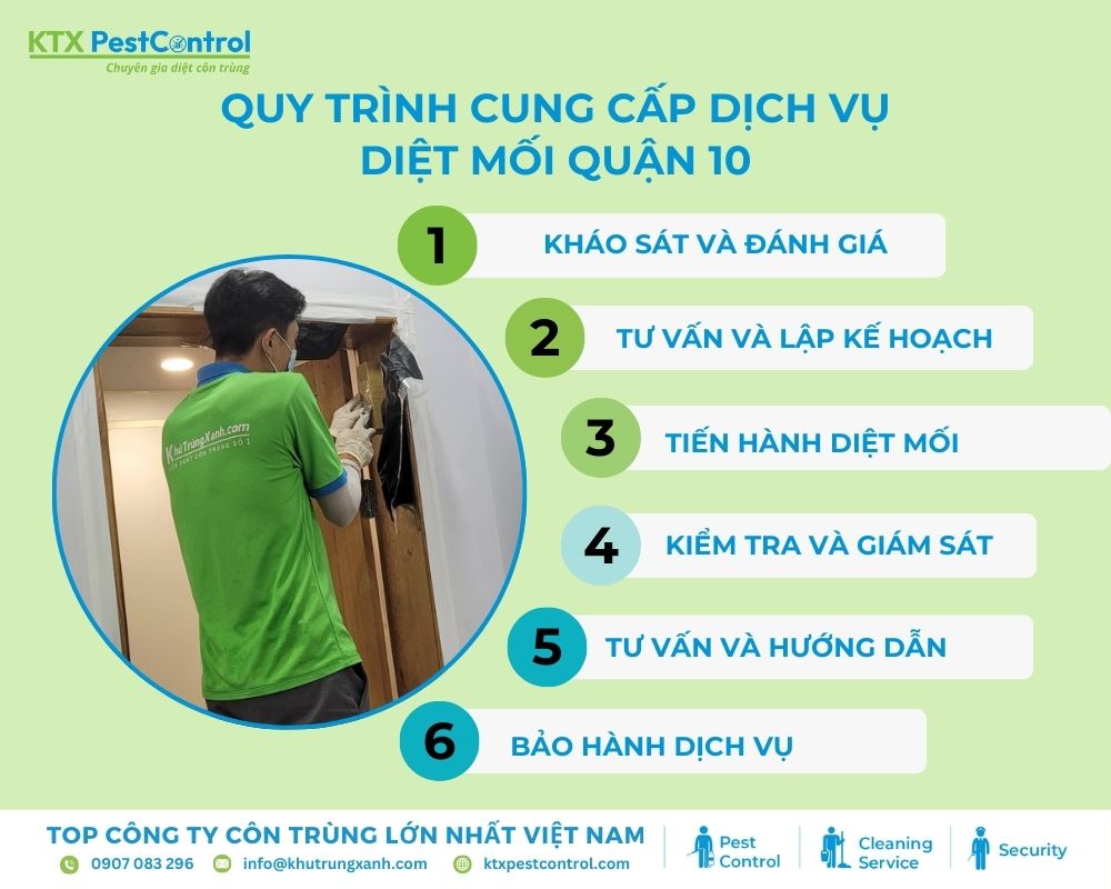 Diệt côn trùng KTX cung cấp quy trình dịch vụ diệt mối quận 10