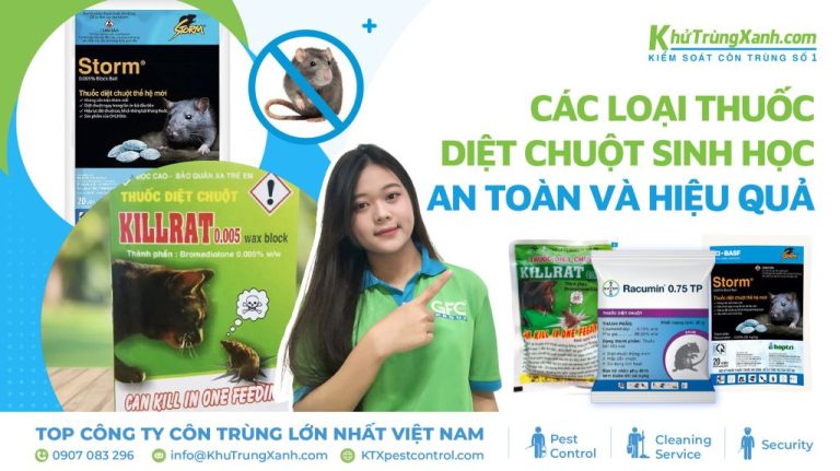 Các loại thuốc diệt chuột sinh học an toàn và hiệu quả