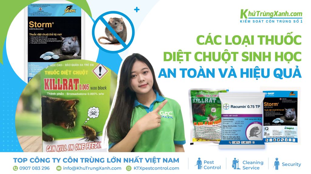 Các loại thuốc diệt chuột sinh học an toàn và hiệu quả