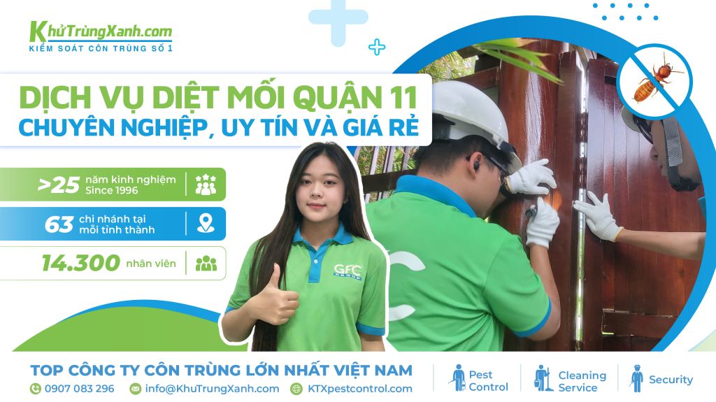 Dịch vụ diệt mối Quận 11 chuyên nghiệp và an toàn