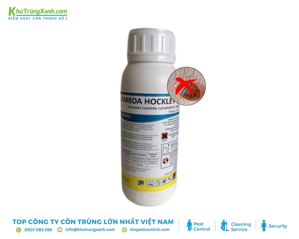 Phun thuốc trị rệp giường Hockley UK 10 CS đều lên các bề mặt như giường, nệm, ghế sofa, góc tường...