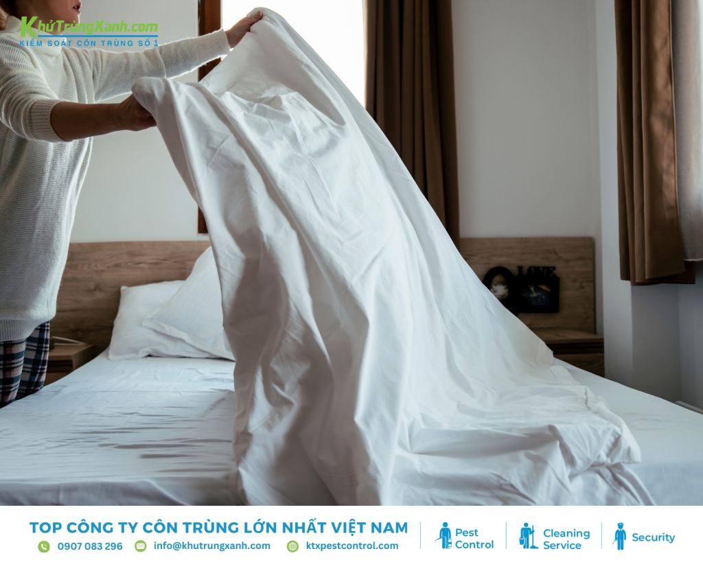 Vệ sinh ga giường thường xuyên là một phương pháp để xua đuổi kiến trong phòng ngủ