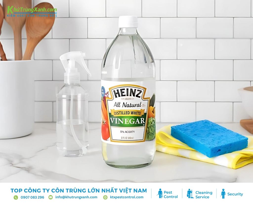 Giấm ăn là một lựa chọn phổ biến để xua đuổi kiến trong phòng ngủ