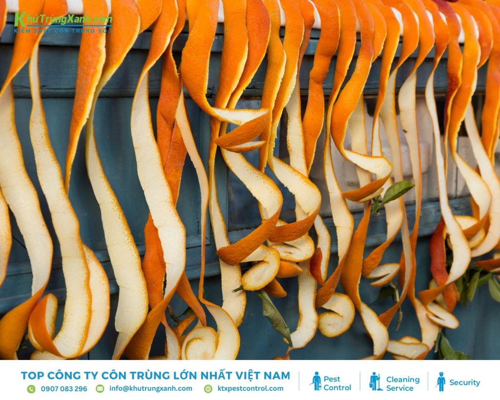 Sử dụng vỏ cam, chanh hoặc vỏ bưởi để xua đuổi kiến ra khỏi phòng ngủ