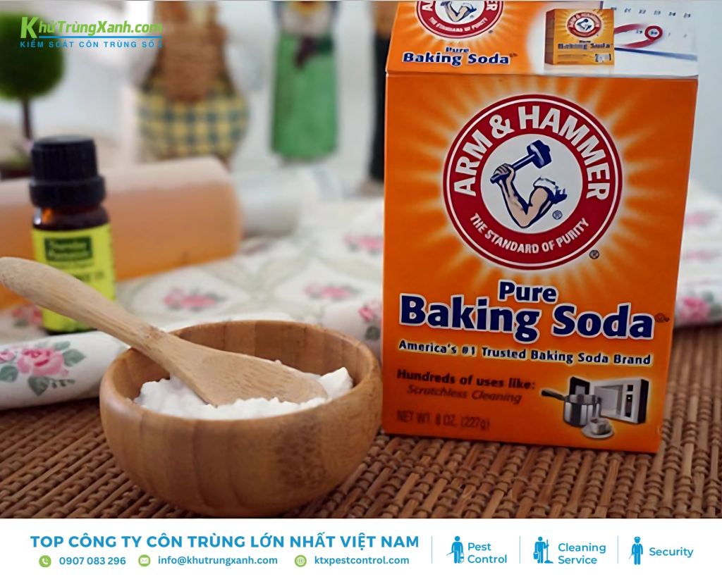 Hỗn hợp baking soda và đường theo tỉ lệ 1:1 xua đuổi trong phòng ngủ kiến dễ dàng