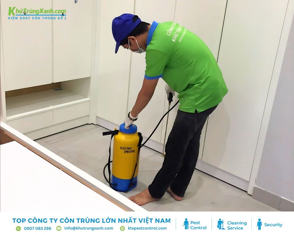 Tiêu diệt kiến tận ổ trong phòng ngủ