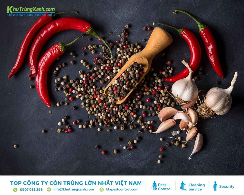 Đuổi kiến triệt để bằng ớt và tiêu