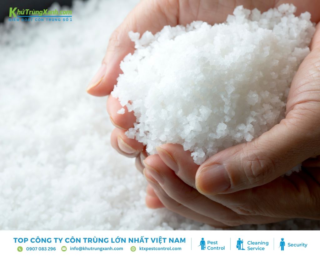 Dùng muối ăn xua đuổi kiến trong phòng ngủ nhờ tính hút ẩm