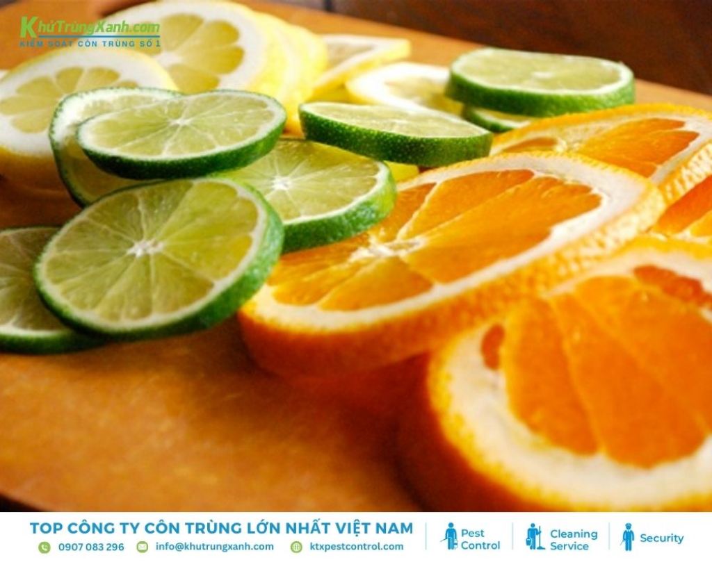 Hương thơm đặc trưng của cam và chanh có thể làm rối loạn khả năng định hướng của ong