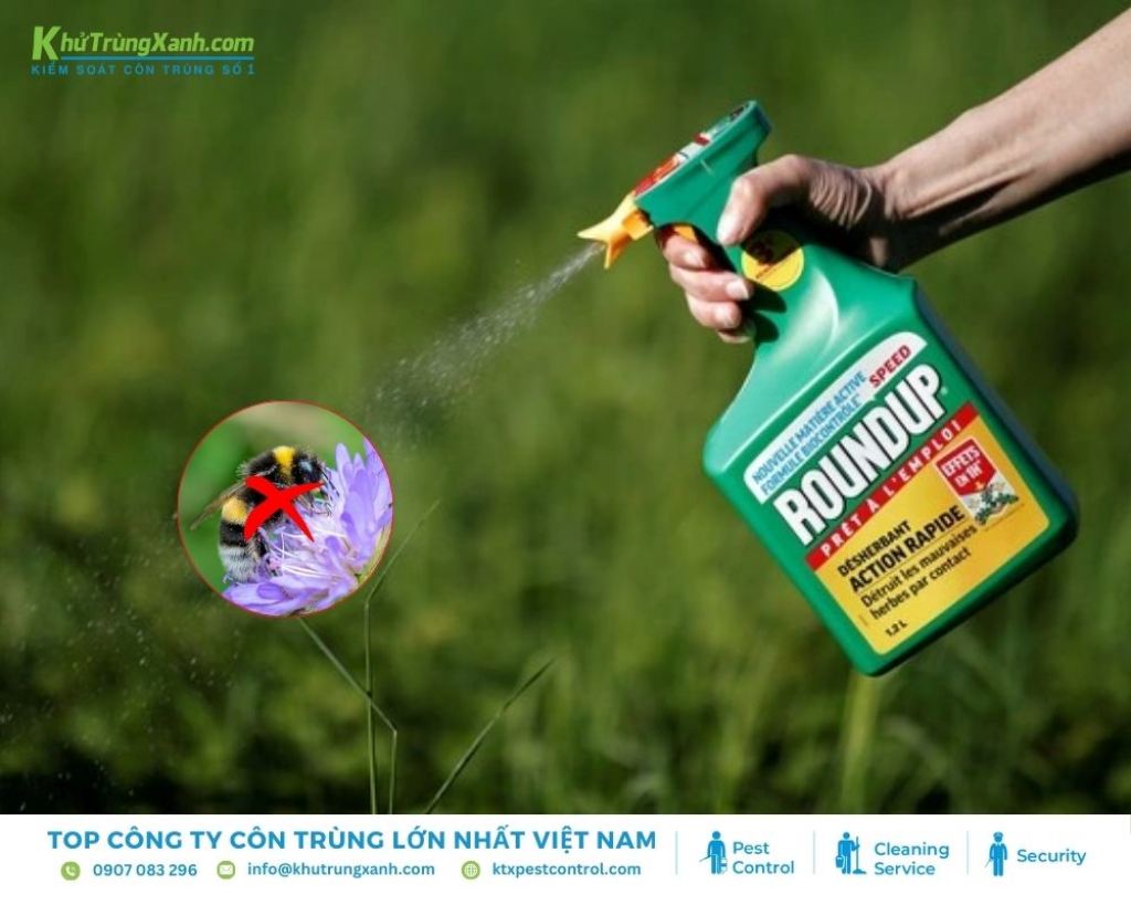 Khi tiếp xúc với thuốc diệt cỏ, ong có thể bị ngộ độc, chết hoặc gây ra các vấn đề sức khỏe