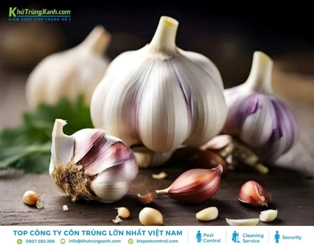 Tỏi chứa allicin, một hợp chất tạo nên mùi hăng và cay, làm ong khó chịu
