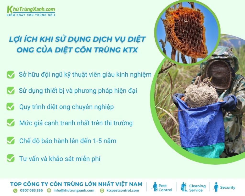 Diệt côn trùng KTX cung cấp mức giá dịch vụ diệt ong cạnh tranh nhất trên thị trường