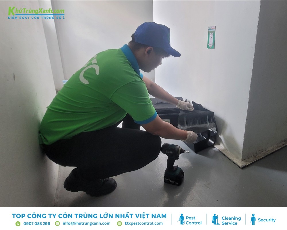 Các biện pháp đuổi chuột đều cần thời gian lâu dài để được đạt hiệu quả tối ưu nhất