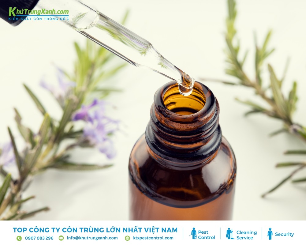 Tinh dầu thơm là cách giúp đuổi chuột chù tự nhiên và hiệu quả