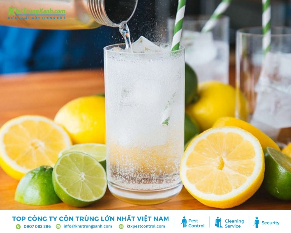 Khí CO2 và lượng đường cao có trong soda sẽ gây ảnh hưởng đến hệ tiêu hóa của loài chuột