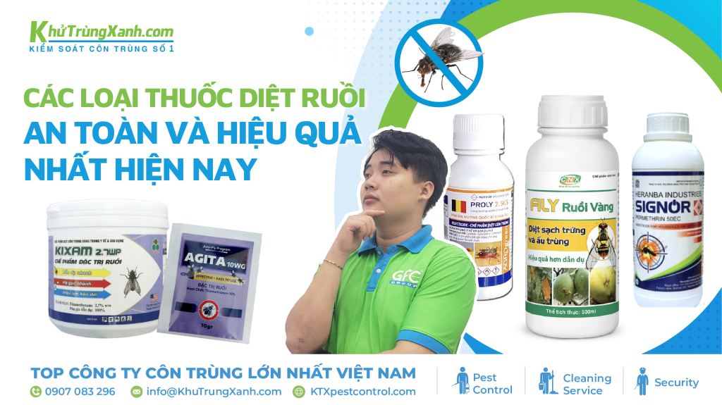 Các loại thuốc diệt ruồi an toàn và hiệu quả nhất hiện nay