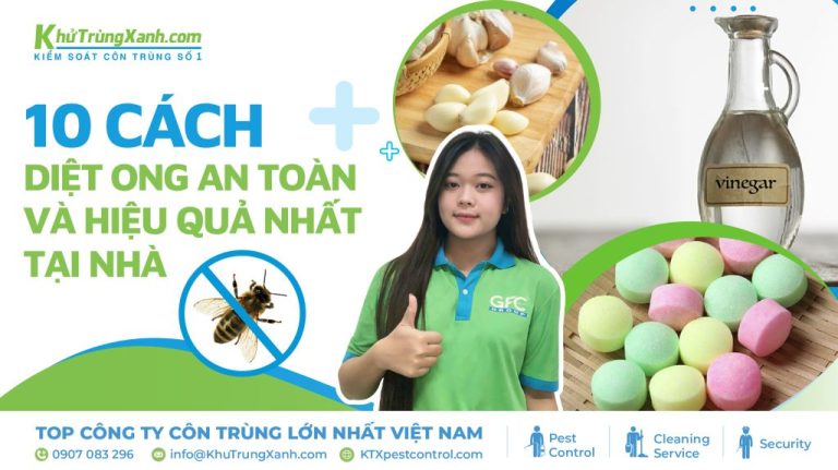 10 cách diệt ong an toàn và hiệu quả nhất tại nhà