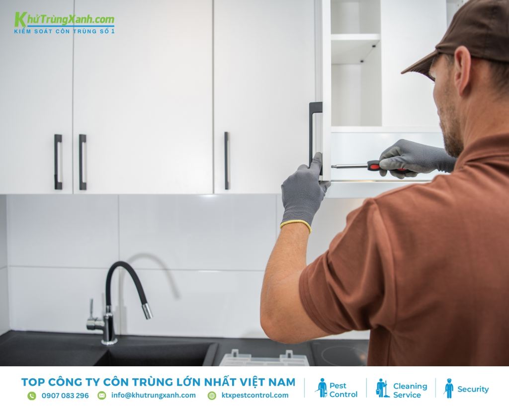 Các biện pháp phòng chống mối cho tủ bếp nhà bạn