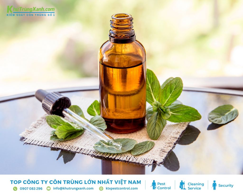 Tinh dầu chứa D-Limonene là giải pháp diệt mối tự nhiên