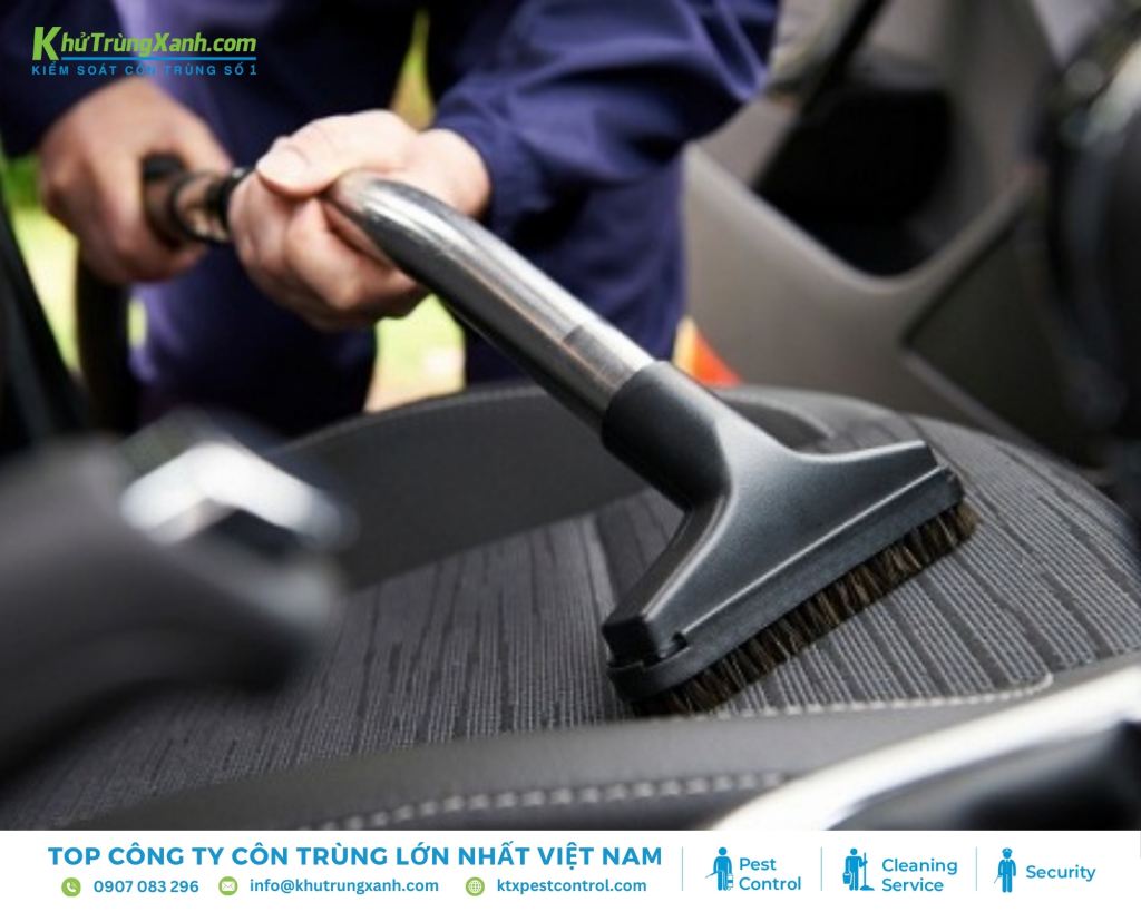 Vệ sinh ô tô thường xuyên để ngăn ngừa sự xâm nhập của gián và côn trùng