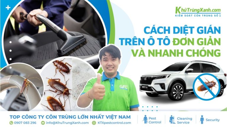 Cách diệt gián trên Oto đơn giản và nhanh chóng