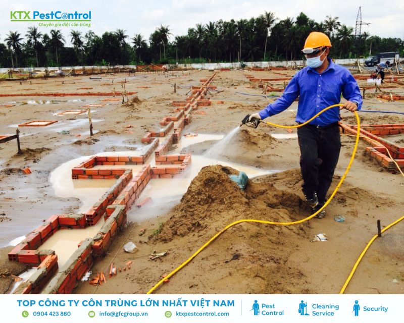 phun thuốc tiêu diệt mối đất và mối gỗ
