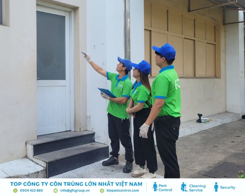 KTX cung cấp dịch vụ xử lý mối đất và mối gỗ uy tín