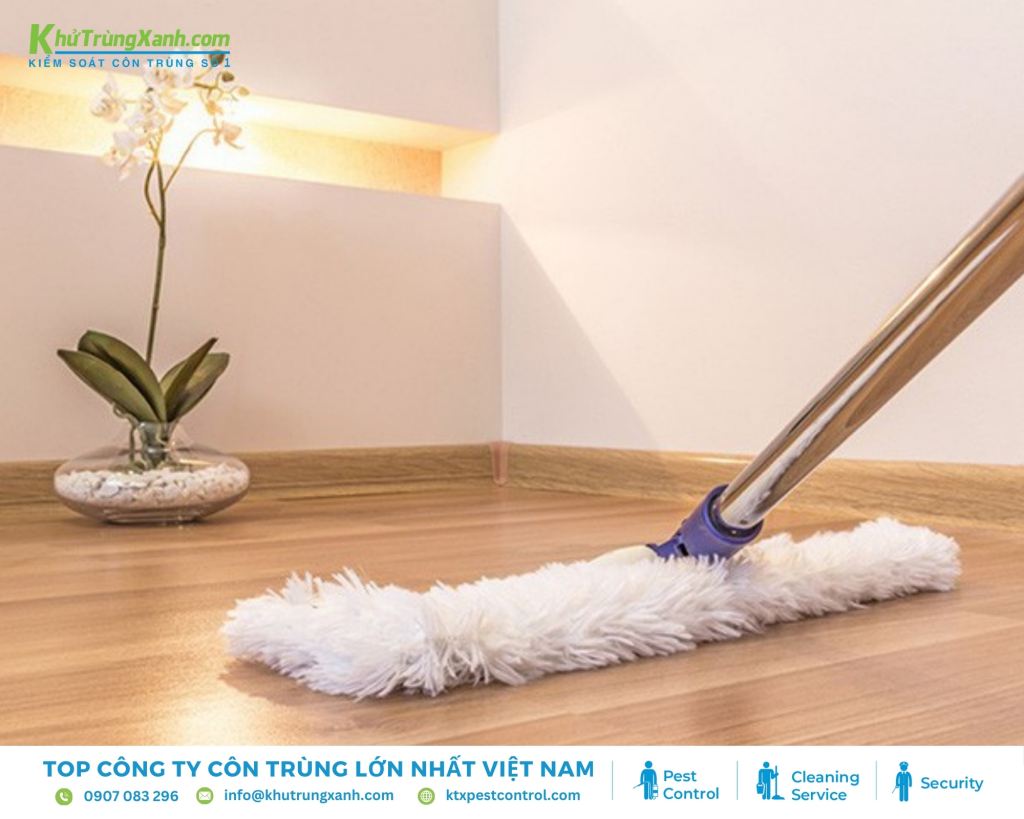 Vệ sinh nhà cửa thường xuyên giúp loại bỏ mối mọt, ngăn ngừa chúng xâm nhập và phát triển