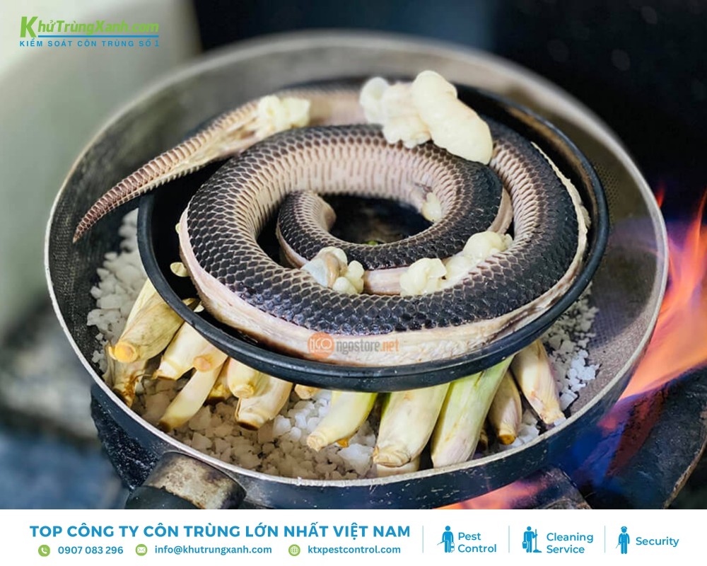 Thịt rắn là nguồn thực phẩm giàu protein, vitamin và khoáng chất