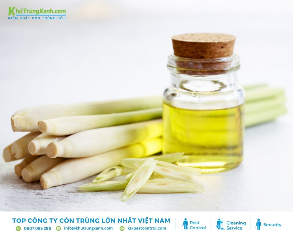 Tinh dầu sả chanh có nguồn gốc từ Đông Nam Á xua đuổi kiến mang lại không gian sống tươi mát