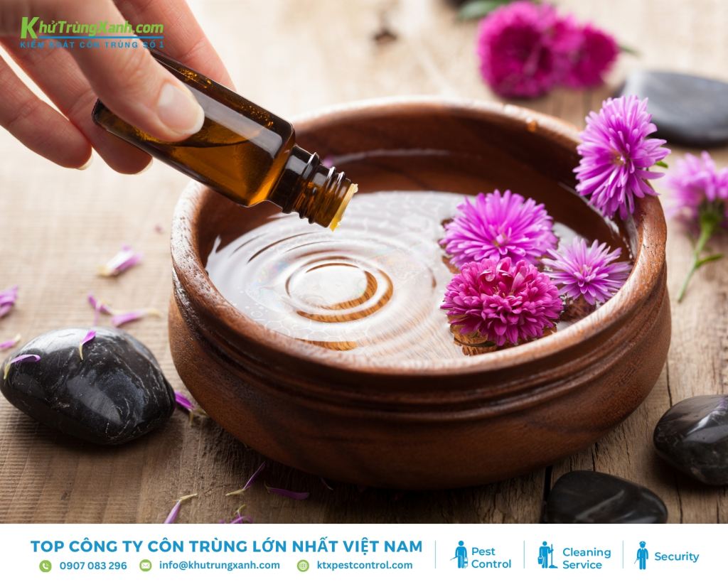 Tinh dầu thiên nhiên - Phương pháp xua đuổi kiến an toàn hiệu quả