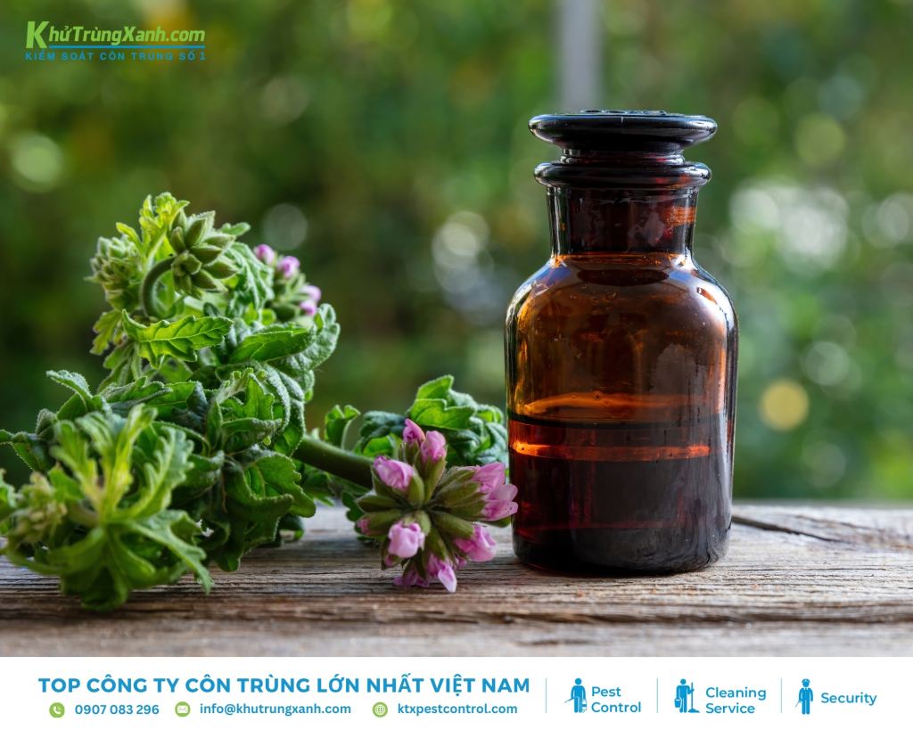 Tinh dầu sả Java có chứa hợp chất hoạt tính xua đuổi côn trùng hiệu quả