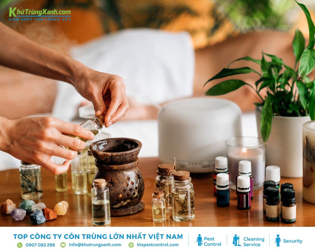 Các lưu ý quan trọng khi sử dụng tinh dầu xua đuổi kiến