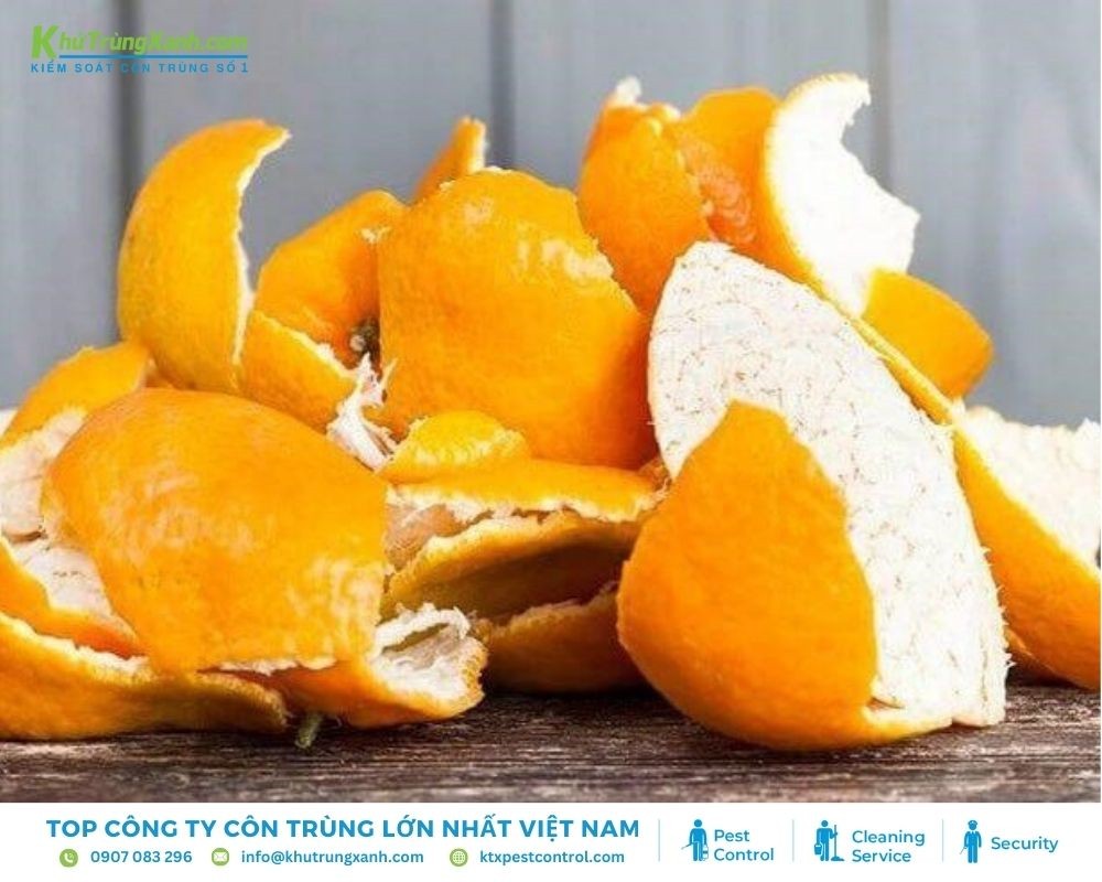 Vỏ cam, quýt có tác dụng diệt gián Đức hiệu quả