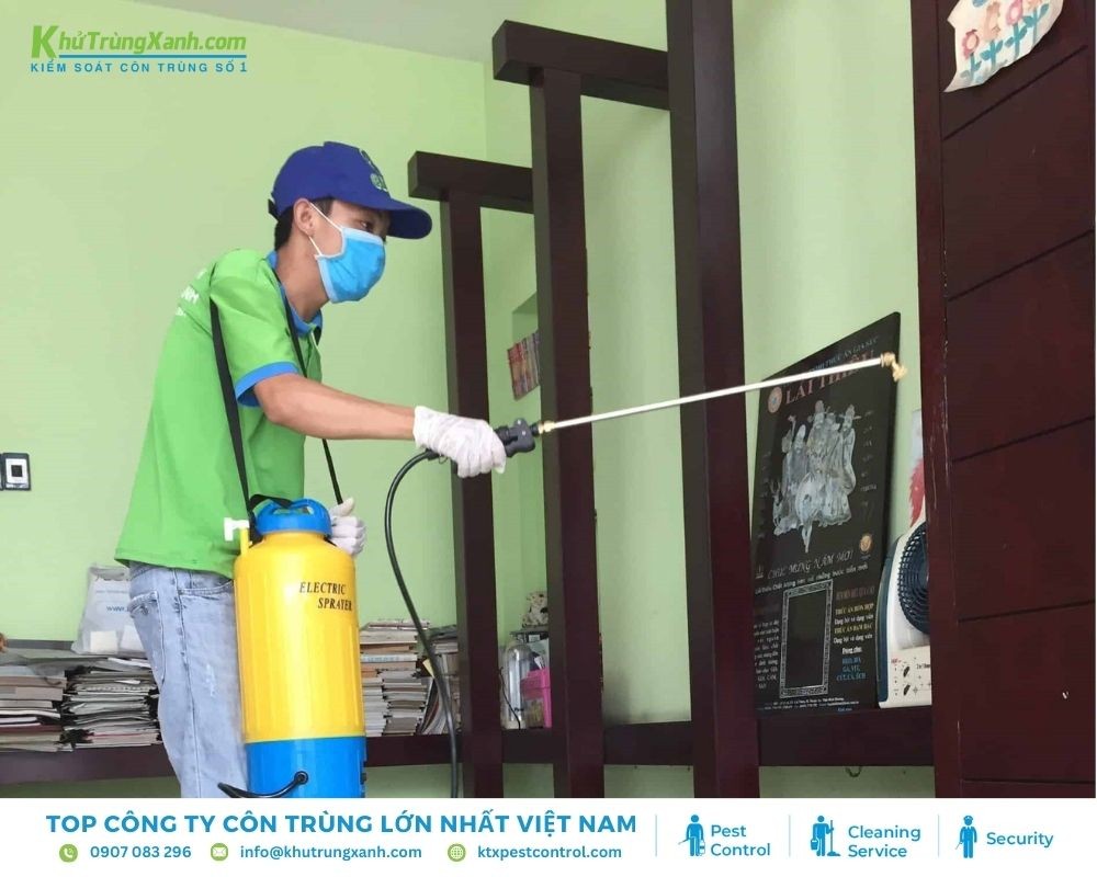 Diệt Côn Trùng KTX chuyên cung cấp dịch vụ gián Đức an toàn, nhanh chóng