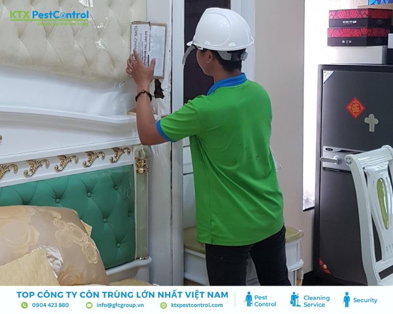 đặt hộp nhử mối trên tường nhà
