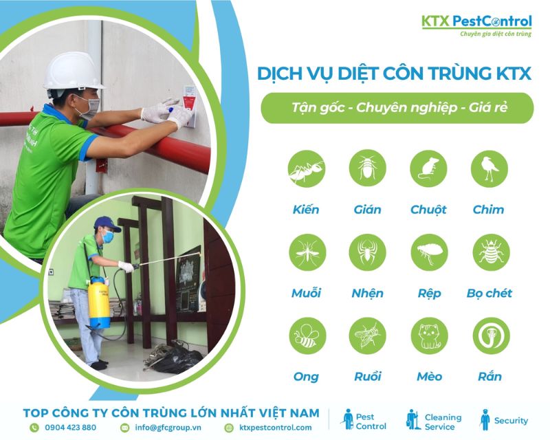 các dịch vụ diệt côn trùng tận gốc tại quận 1