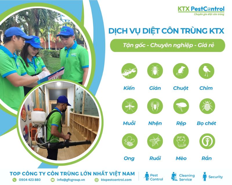 Dịch vụ diệt côn trùng quận 2 chuyên nghiệp