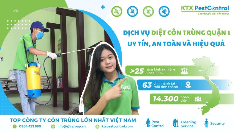 Dịch vụ diệt côn trùng Quận 1 – Uy tín, an toàn và hiệu quả 