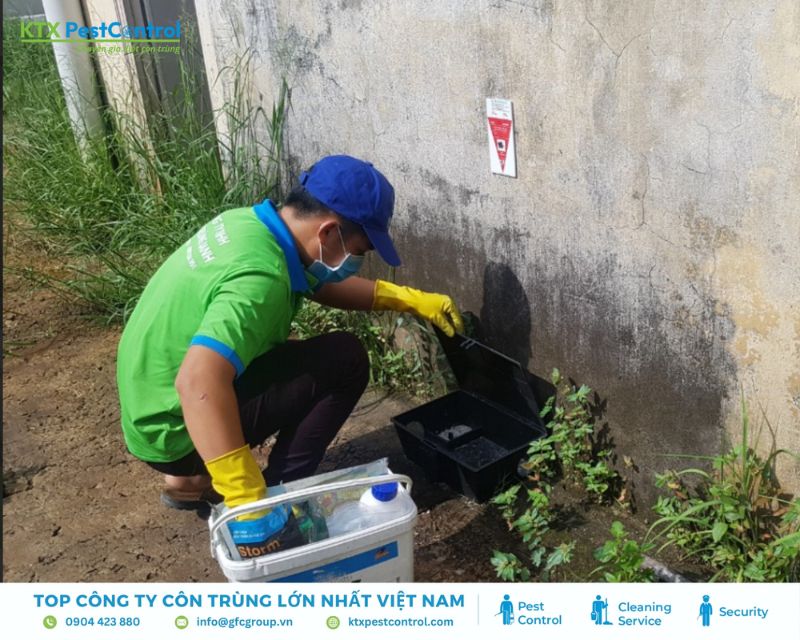 Kỹ thuật viên diệt mối quận 2 dùng bã phòng chống côn trùng