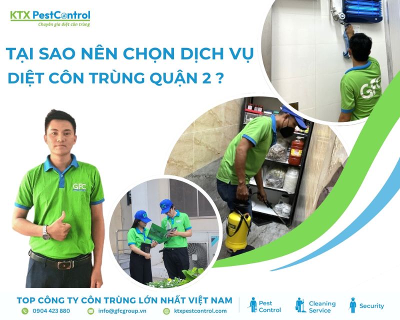 dịch vụ diệt côn trùng tận gốc tại khu vực Quận 2
