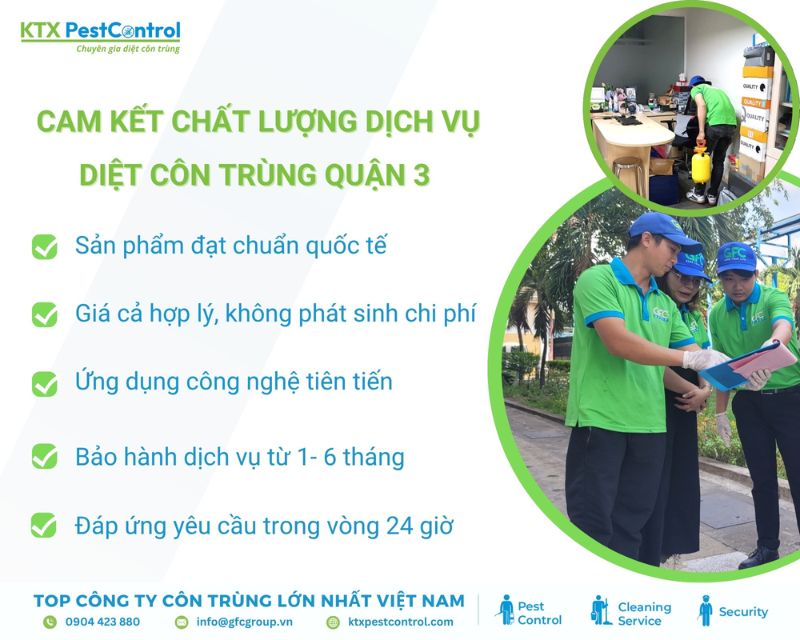 KTX cam kết dịch vụ diệt côn trùng tại nhà Quận 3 giá rẻ