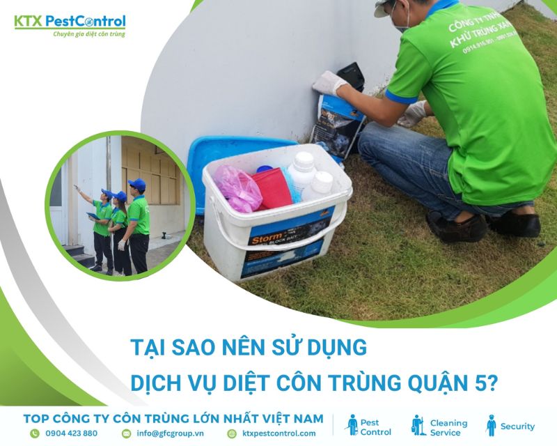 Nhu cầu diệt côn trùng tại Quận 5 ngày càng tăng cao